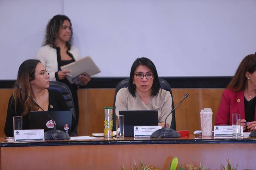 María Luisa Mendoza impulsa castigo al reclutamiento forzado de menores