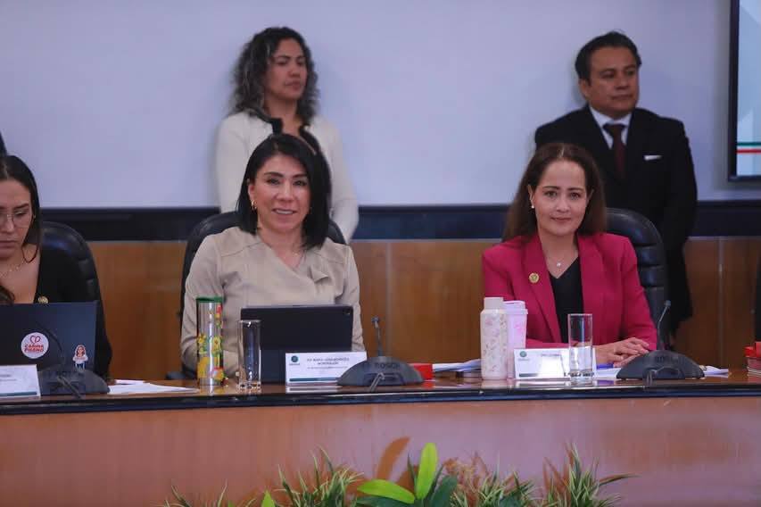 María Luisa Mendoza impulsa castigo al reclutamiento forzado de menores