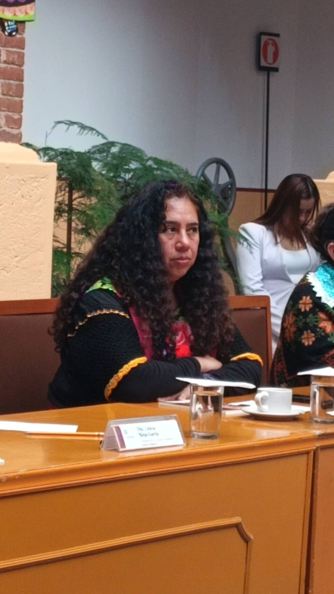 Lety Mejía lleva al Congreso la defensa de las lenguas maternas con “Raíz de mezquite”