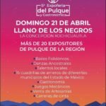 Hoy es la Feria del Pulque en el Llano de los Negros en La Concepción Xochicuautla, Lerma